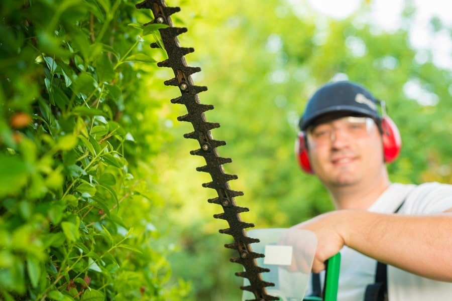 Illustration showcasing the differences between hedge cutters and hedge trimmers, aiding in informed garden tool selection.