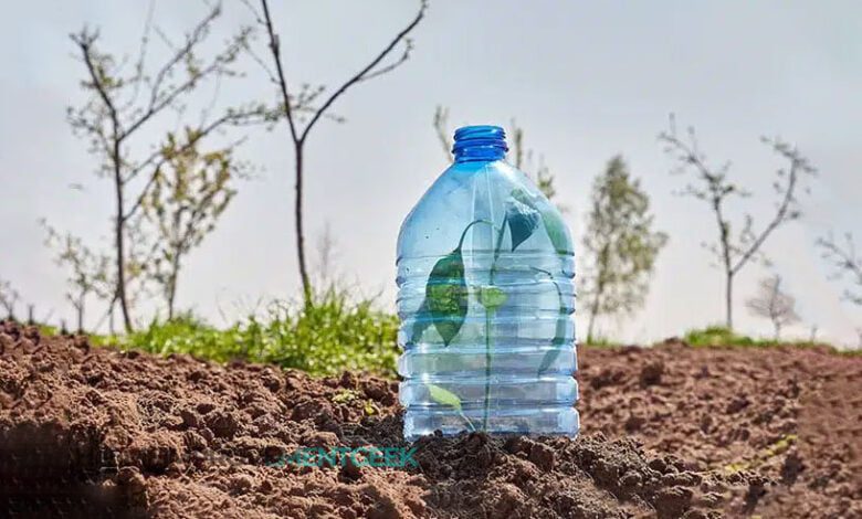 Benefits of Covering Plants with Plastic Bottles