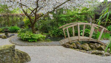 Create an Enchanting Jungle Garden Oasis with These 10 Ideas