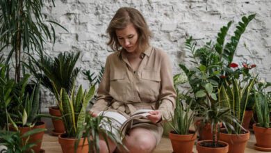 Indoor Garden Ideas To Beautify Your Home