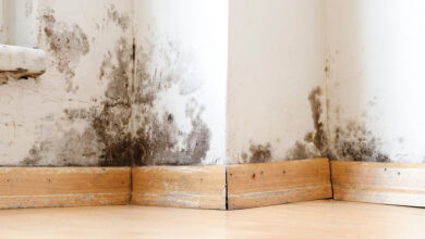 How to Deal with Mold Under Your Floor