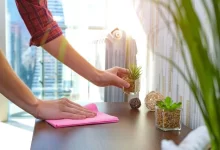 A person cleaning a wooden surface with a pink cloth as part of regular maintenance, next to small potted plants in a sunlit room.