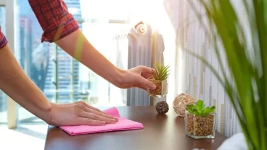 A person cleaning a wooden surface with a pink cloth as part of regular maintenance, next to small potted plants in a sunlit room.