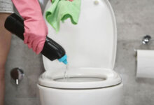 Using Rid-X in a Regular Toilet Pros, Cons, and Alternatives