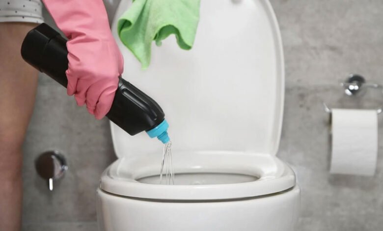 Using Rid-X in a Regular Toilet Pros, Cons, and Alternatives