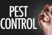 emergency pest control