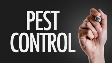 emergency pest control