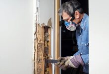 wood house termites