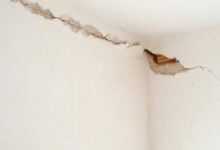 Foundation Flaws: What Your Brick Walls Are Trying to Tell You