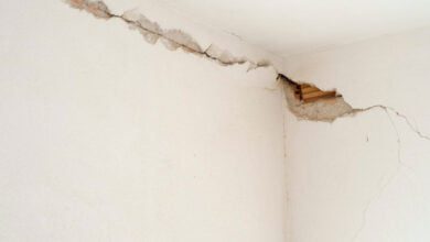 Foundation Flaws: What Your Brick Walls Are Trying to Tell You