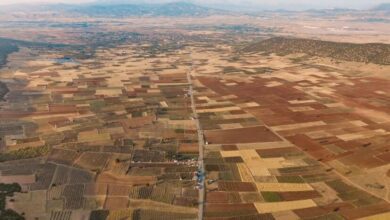 Image of , Reviews, on HomeImprovementGeek.