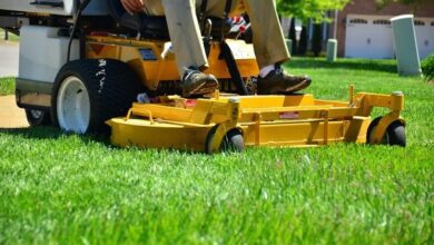 The Importance of Customized Lawn Care for a Perfectly Manicured Yard