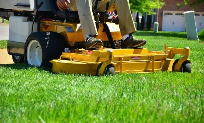 The Importance of Customized Lawn Care for a Perfectly Manicured Yard
