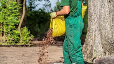 Mulch Delivery and Installation: What to Expect and How to Prepare
