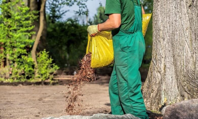 Mulch Delivery and Installation: What to Expect and How to Prepare