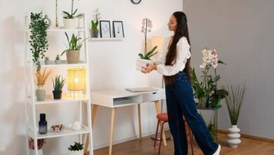 Where to Find the Best Eco-Friendly Home Decor in Your City