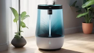 Where to Start When Upgrading to Energy-Efficient Appliances