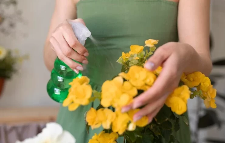 Where to Find the Best Natural Cleaning Products