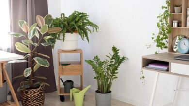 How to Choose Sustainable Textiles for Your Home Decor