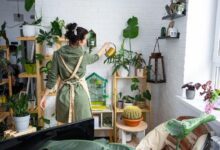 Guide to Upcycling: Transforming Your Home Decor Sustainably