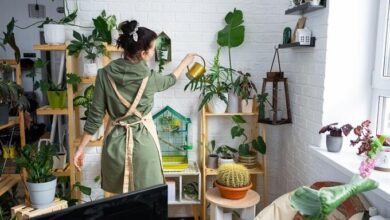 Guide to Upcycling: Transforming Your Home Decor Sustainably