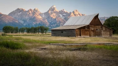 Image of , Luxury Real Estate, on HomeImprovementGeek.