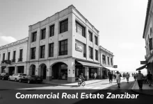 Commercial Real Estate Zanzibar Stone Town buildings with modern offices and traditional architecture for property investment