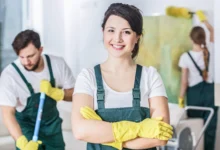 Image of , Cleaning, on HomeImprovementGeek.