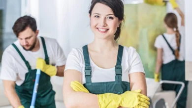 Image of , Cleaning, on HomeImprovementGeek.