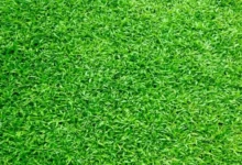 Image of , Gardening, on HomeImprovementGeek.