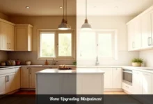 Home Upgrading Mintpalment before and after kitchen renovation showing modern cabinets countertops and lighting improvements