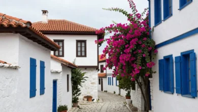 Koutouloufari village in Crete with traditional stone houses, cobblestone streets, and vine-covered terraces overlooking the Mediterranean