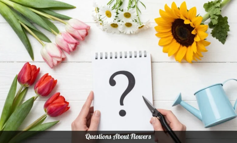 Common questions about flowers with fresh roses tulips and daisies in vases