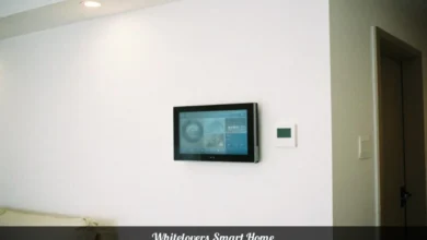 Whitelovers Smart Home living room with minimalist design and automated lighting system