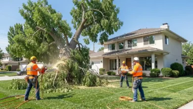 Tree removal service crew performing safe tree clearing with professional equipment near residential property