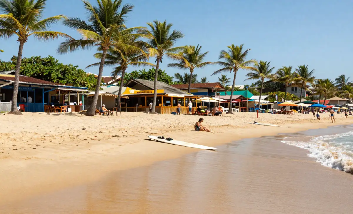 Tamarindo beach with surfers and palm trees showing the active coastal lifestyle in Costa Rica