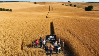 Image of , Featured, on HomeImprovementGeek.