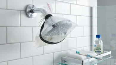 Person cleaning a shower head with a plastic bag filled with white vinegar to remove limescale and mineral deposits