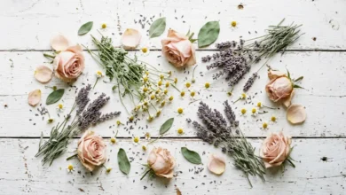 Flat-lay of partially dried roses, lavender, and chamomile on a white wood surface