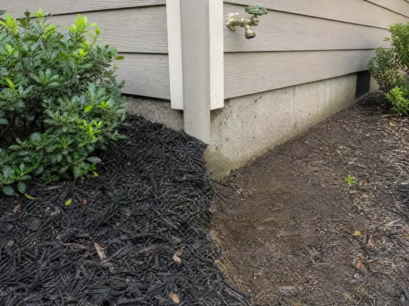 Suburban house foundation with ants, dense mulch, cleared soil, and a hose bib